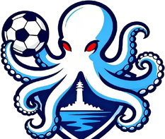 烟台力量章鱼 logo